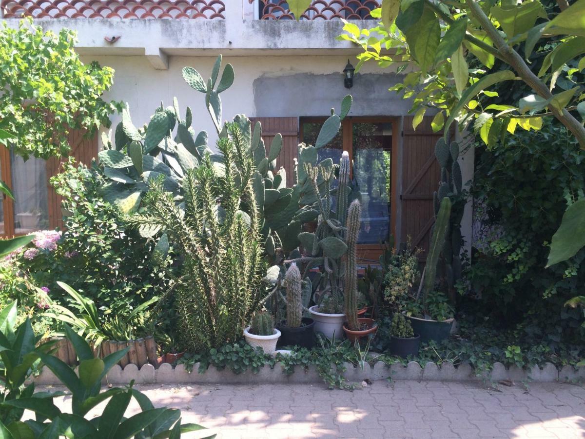 Haras Des Arcades Villa Perpignan Bagian luar foto