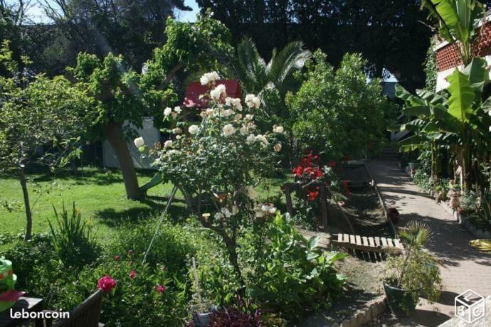 Haras Des Arcades Villa Perpignan Bagian luar foto